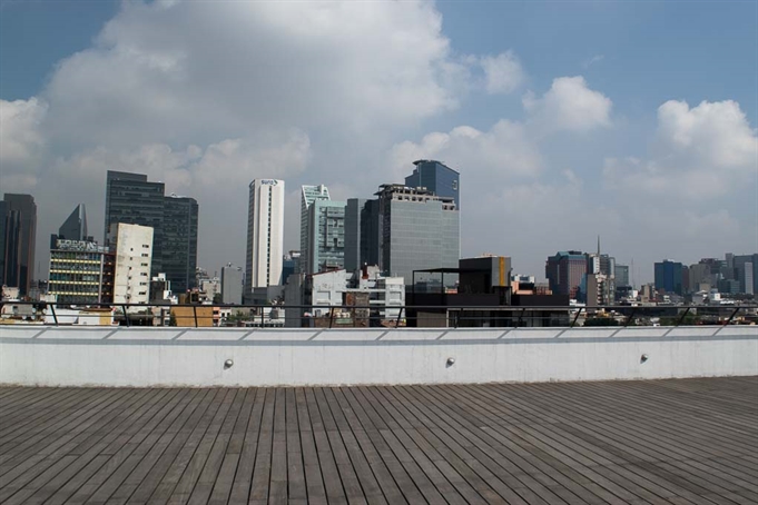 Roof Garden