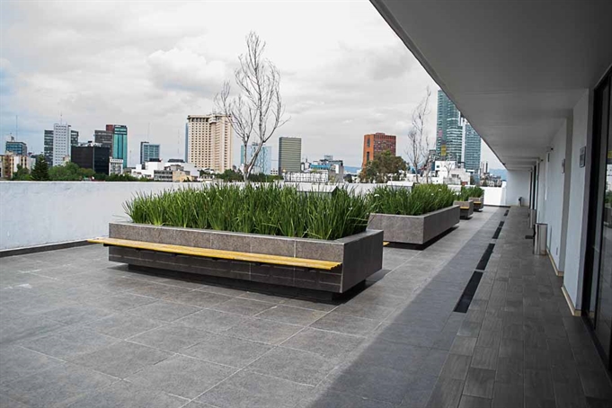 Roof Garden