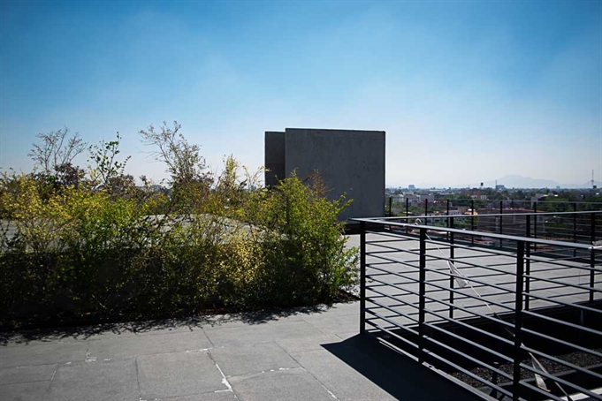 Roof Garden