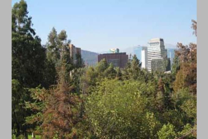 Vista desde la terraza