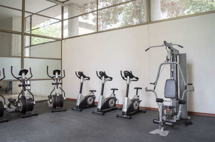 Gimnasio
