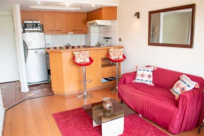 Furnished accommodation Curico - Metro Universidad Catolica 7 (2074)
