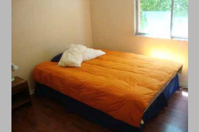Furnished accommodation Marcelo - Metro Manuel Montt 2 (2259)