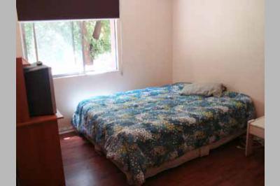 Furnished accommodation Marcelo - Metro Manuel Montt 2 (2260)