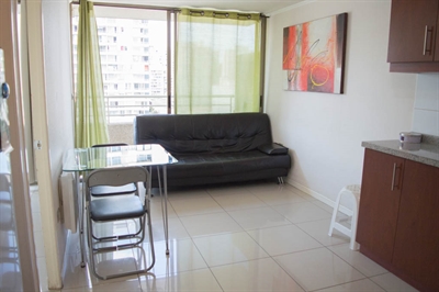 Furnished accommodation Alonso De Ovalle - Metro Universidad De Chile 37 (2773)