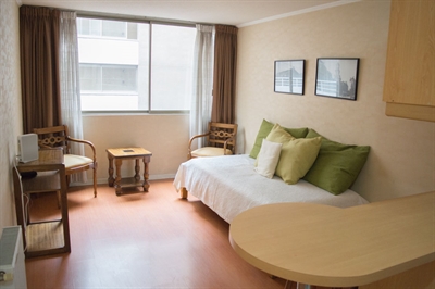 Furnished accommodation Alonso De Ovalle - Metro Universidad De Chile 45 (3207)