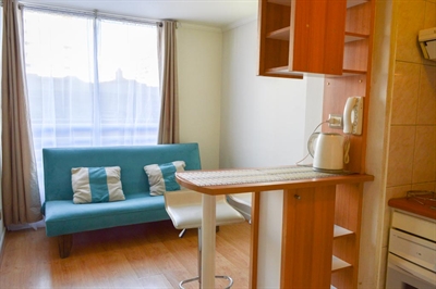 Furnished accommodation San Isidro - Metro Santa Lucia 55 (3442)