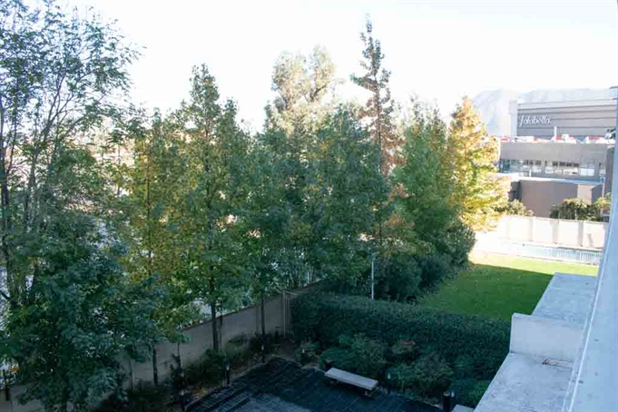 Vista