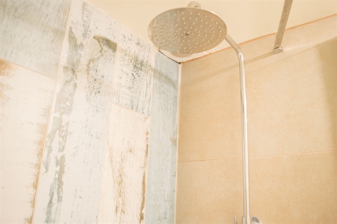 Baño pasillo