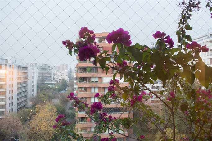 Vista Habitación 1