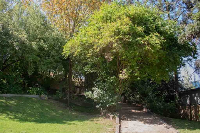 Áreas Verdes