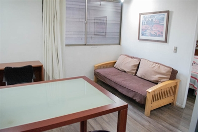 Furnished accommodation Huérfanos - Metro Bellas Artes 54 (5161)