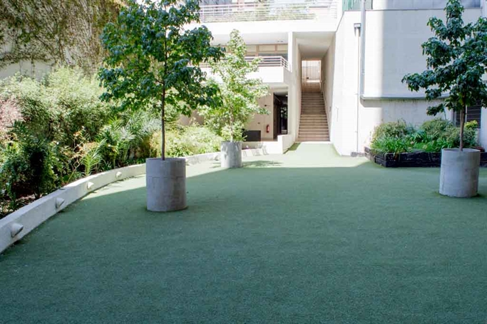Terraza