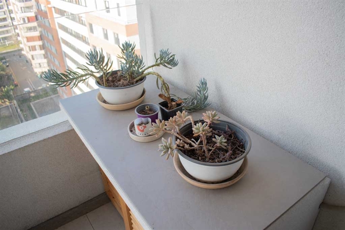 Terraza