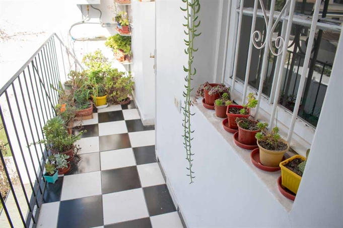Terraza
