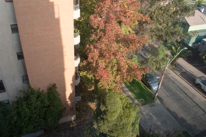Vista