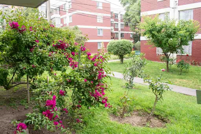 Vista