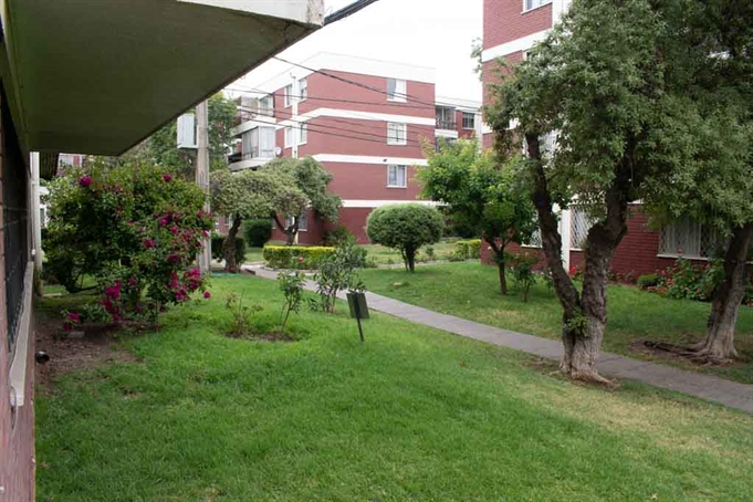 Vista