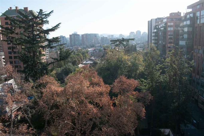 Vista