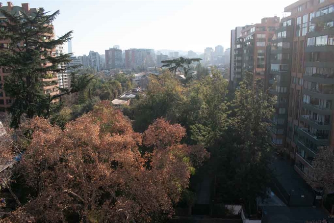 Vista