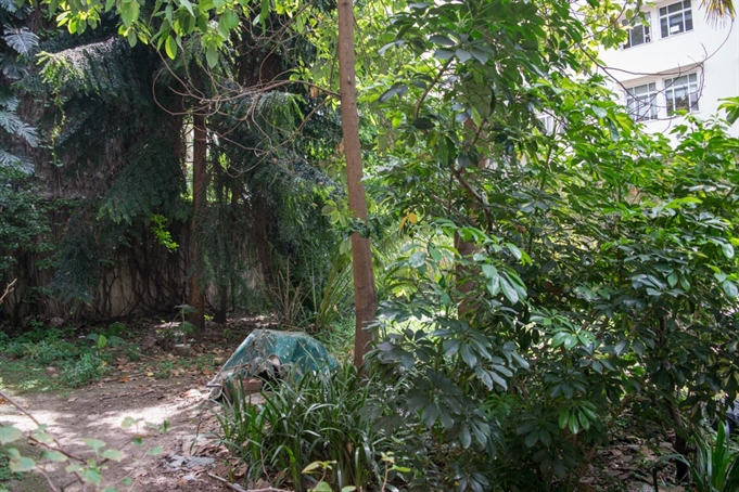 Patio del edificio