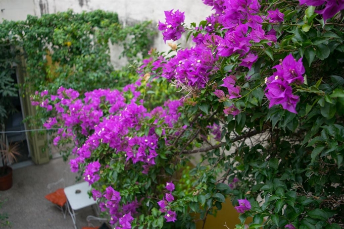 Terraza